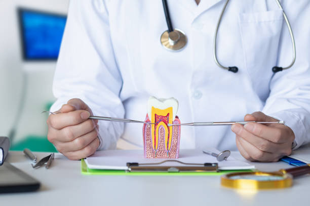 Best Dentist for Tooth Abscess  in Gardende, AL